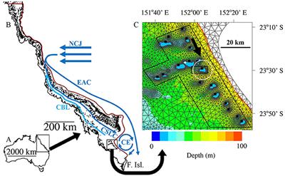 Wind Conditions on the Great Barrier Reef Influenced the Recruitment of Snapper (Lutjanus carponotatus)